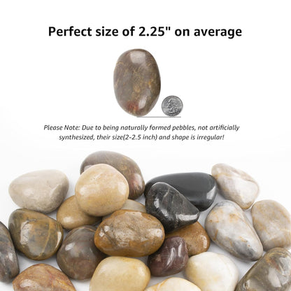 40lbs 2-3 Inch River Rocks, Decorative Mixed Pebbles for Garden Landscaping, Indoor Plants, Fish Tanks, Vases, and Succulents – Ideal for Home Decoration and Outdoor Gardens (Mixed, Weight: 40 LB)