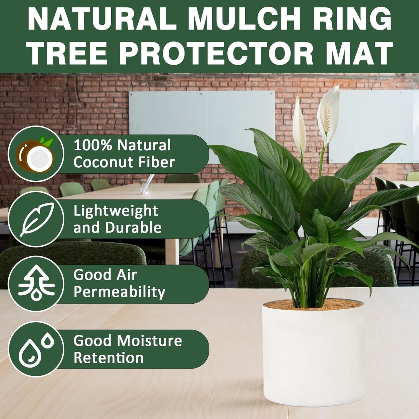 ZeeDix 10 Pack 9 Inch Coconut Fiber Mulch Ring, 100% Natural Coco Coir Tree Ring Mulch Mat Plant Protector Mat, Coconut Coir Discs Plant Pot Soil Cover for Indoor Outdoor Plants, Flower Pot Decoration