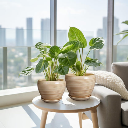 Ceramic Pots for Plants - 10 Inch 8 Inch 6 Inch Plant Pots with Drainage Holes and Saucers Large Planters for Indoor Plants Decorative Outdoor Flower Pots Set of 3 Yellow
