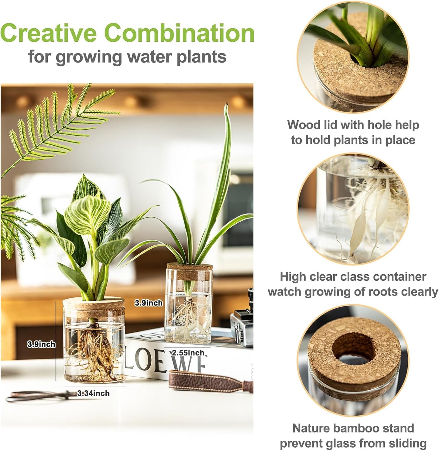 Glass Plant Propagation Stations for Plants – Set of 4(4 Large & 4 Small) Hydroponic Vases for Plant Cuttings,Flower Arrangements, Home & Office Decor–Desktop Vases for Living Room, Bedroom (8)