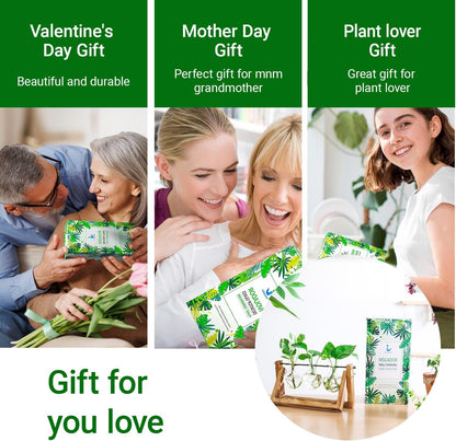 Ivolador I Plant Propagation Station, Bulb Plant Terrarium with Wooden Stand, Unique Gardening Gifts for Women, Hydroponic Indoor Planter, Home Office Garden Wedding Decor - 3 Bulb Glass Vases