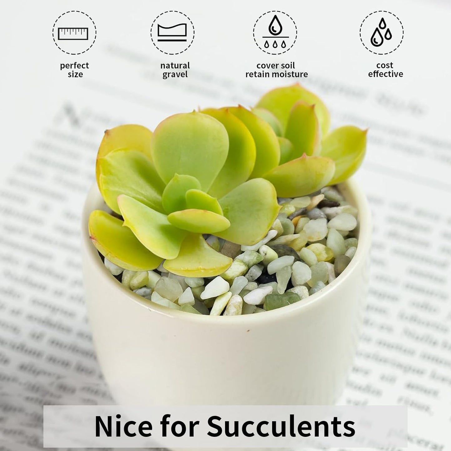 5 lbs Jade Gravel Small Pebbles for Indoor Plants, Decorative Rocks for Plants Succulents Cactus Bamboo Vases Filler and Potted Drainage Gravel