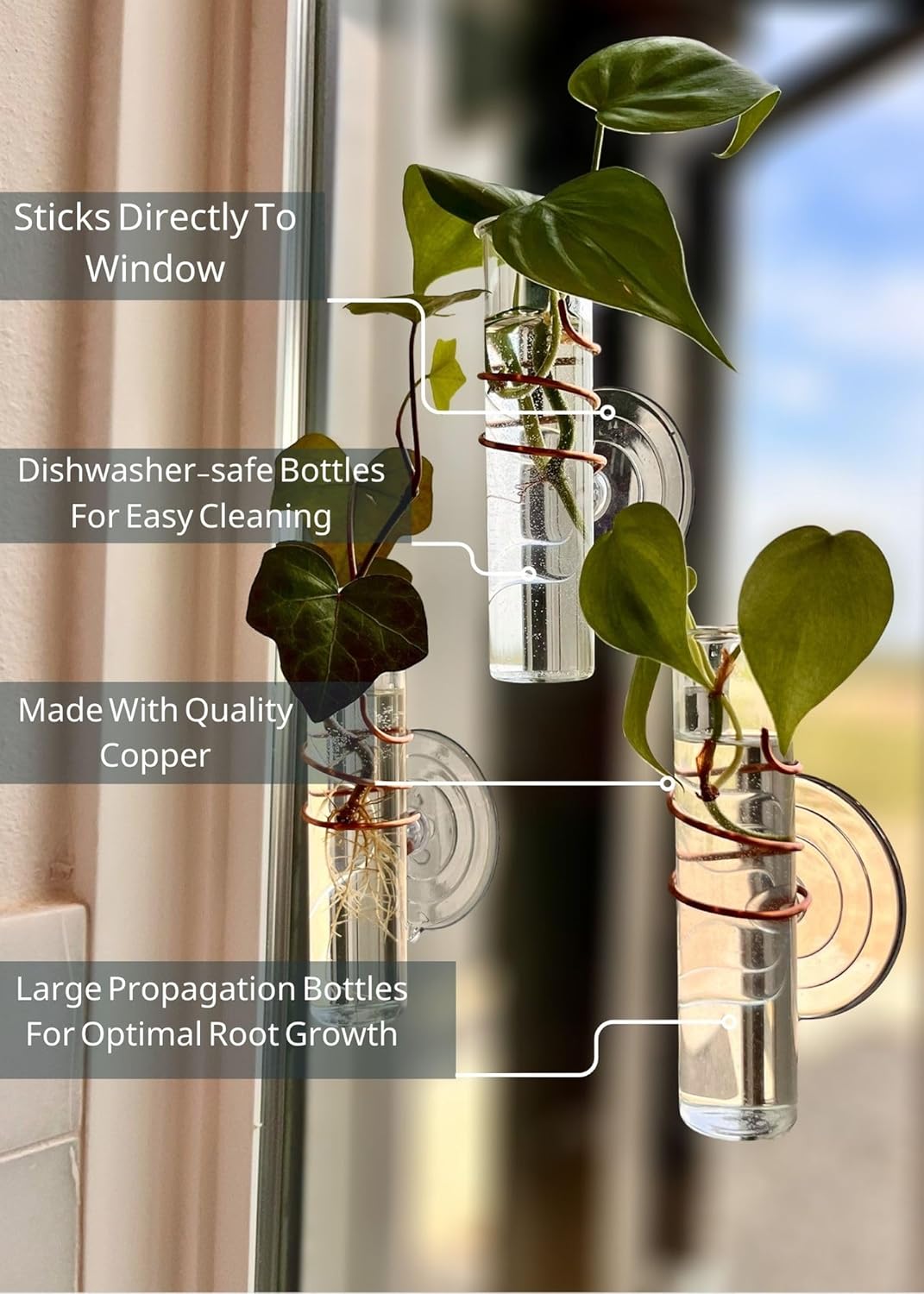 The Little Window Propagator | Window Propagation Station with Removable Glass Tubes, Indoor Plant Clippings, Cut Flowers, Herbs, Succulents | Home Decor | Plant Lover Gift (3)