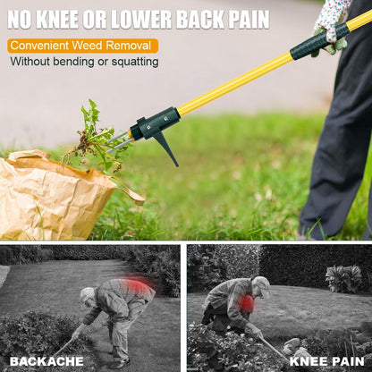 Weed Puller Tool, 50IN Long Handle 3 Claws Stand Up Weeder, Extra Thickened Stainless Steel Shaft Garden Weeding Tool,Remove the Roots of Thistles, Crabgrass, Dandelions, and Blackberries, etc.