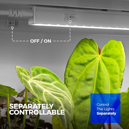 Barrina T5 Grow Lights for Indoor Plants, 3FT 128W (8 X 16W) Full Spectrum Grow Light with Separate Switch, Linkable Grow Lamp, Indoor Plant Lights for Growth, Plug and Play, 5000K, 8 Packs