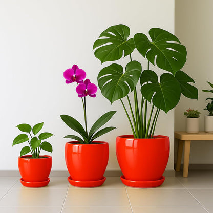 Deep Dream 6 Inch Plant Pots- Ceramic Planter Pot with Drainage Hole and Saucer, Round Flower Pot for Indoor Outdoor Succulent, Snake Plants and Cactus, Red
