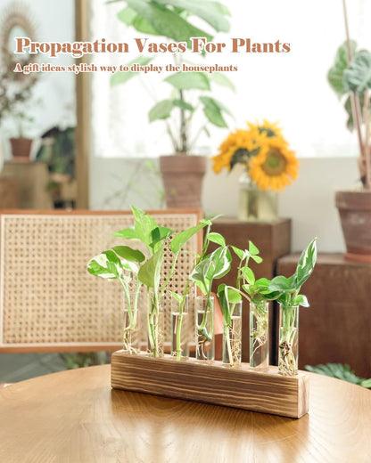 KAXYEW Plant Terrarium with Wooden Stand, Plant Propagation Tubes, 7 Test Tubes Glass Planter for Hydroponic Plant Cuttings Home Office Décor