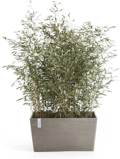 Ecopots Paris Durable Modern Rectangular Indoor/Outdoor Recycled-Based Composite Flower Planter, Taupe, 31.5"