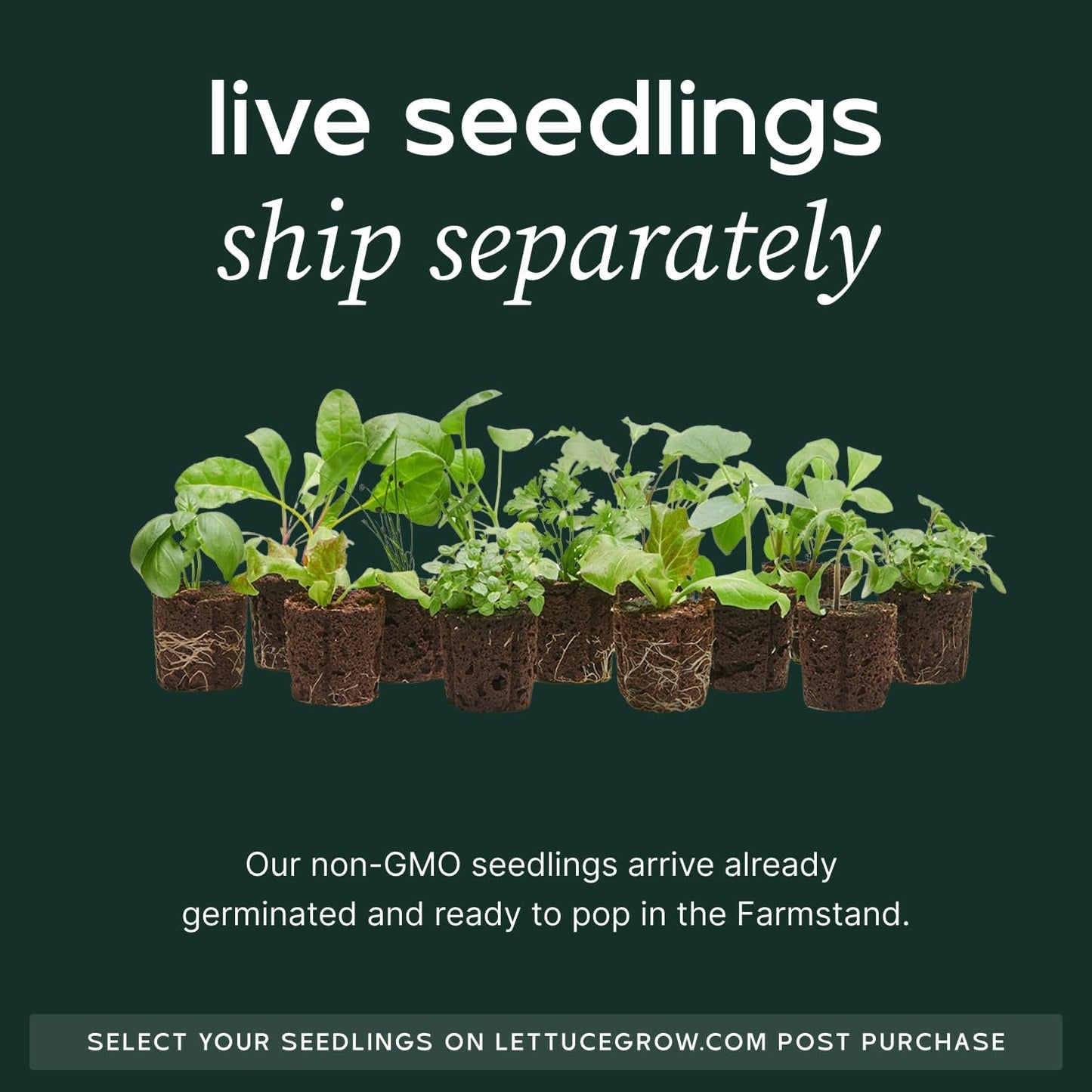 Farmstand Starter Kit + 18 Seedling Credits | Small Hydroponic Growing System Kit | Self-Watering Outdoor Vertical Garden Planter Tower | 4ft 3in | Made in USA