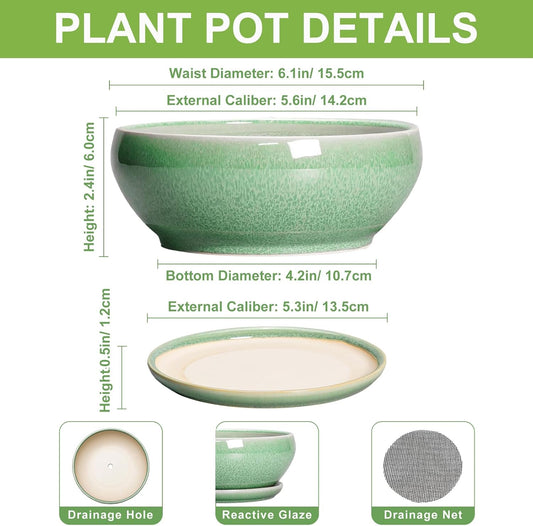 SQOWL Succulent Pots 6 Inch - Ceramic Bonsai Planter for Indoor Plants Outdoor, Shallow Planter with Drainage Hole and Tray, Round Planters for Cactus Flower, Office Decor, Gardening Gifts, Green