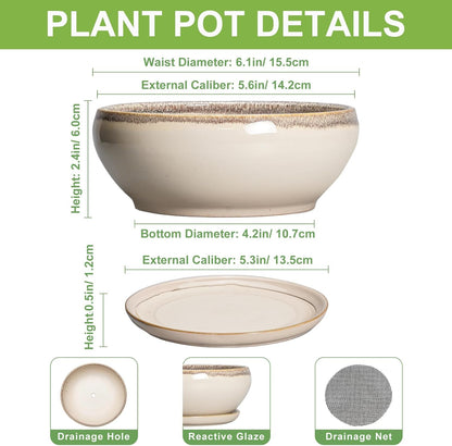 SQOWL Small Bonsai Pots - 6 Inch Ceramic Plant Pots for Succulents, Shallow Planter with Drainage Hole and Saucer, Round Planters for Indoor Outdoor Cactus Plants, House Decor, Birthday Gifts, Beige
