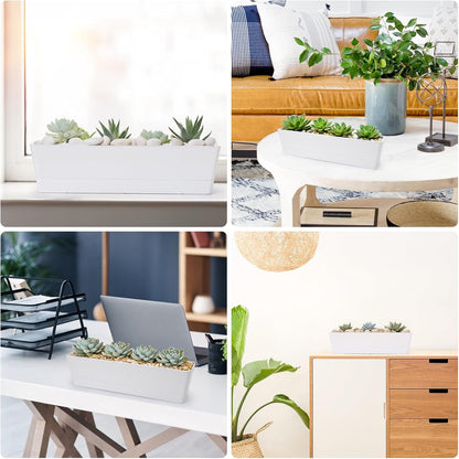 GREANER Window Boxes Planters, 3PCS 16x3.8 Inch Large Herb Planters with Tray, Indoor Succulent Cactus Flowers Vegetable Plastic Rectangle Pots for Balcony, Office, Garden, Outdoor, Windowsill (White)