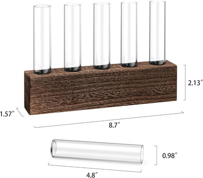 KAXYEW Desktop Glass Plant Propagation Station Test Tube Plant Terrarium in Wooden Stand for Hydroponic Plants Cutting Office Home Decoration Gift for Women (5 Test Tubes-BR)