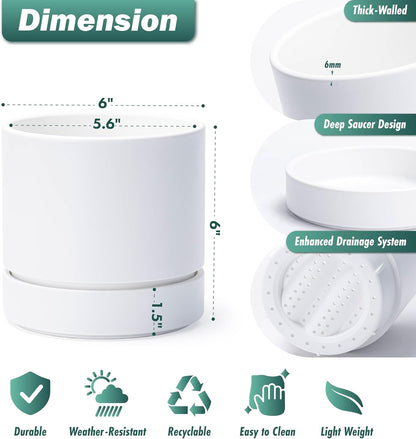 Phoenix Vine 6 Inch Planter Pot with Drainage Hole & Saucer, Deep Water Catch Tray, Straight Cylindrical Round Pot for Plants, Matte White, Pack of 4, 23-B-S-4