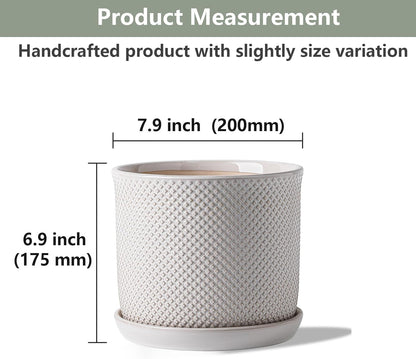 8 Inch Plant Pot: Ceramic Planter with Drainage Hole & Saucer Indoor Outdoor Plants - Flowerpot with Bonded Tray for Home Office - Beaded Embossed Style, Cream White