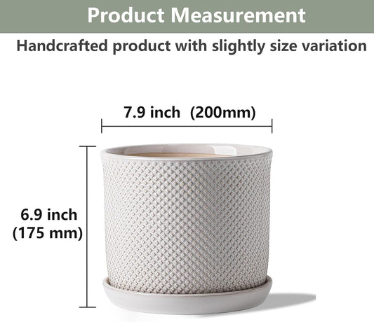 8 Inch Plant Pot: Ceramic Planter with Drainage Hole & Saucer Indoor Outdoor Plants - Flowerpot with Bonded Tray for Home Office - Beaded Embossed Style, Cream White