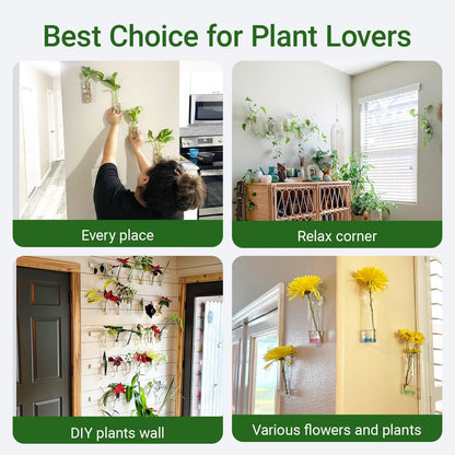 Ivolador Wall Plant Propagation Station Hanging Glass Planter Vase Terrarium Container Cylinder Shape Perfect for Propagating Hydroponic Plants Home Office Garden Decor Wedding-4PCS