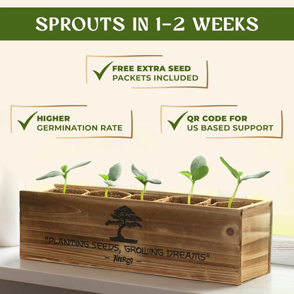 Bonsai Tree Kit for Beginners – 5X Unique Japanese Bonzai Trees | Complete Indoor Starter Kit for Growing Bonsai Plants with Tools & Planters – Gardening Gifts for Women & Men