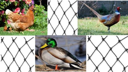 Aviary Netting Heavy Knotted 2 inch Poultry Net (12.5 ft x 150 ft)