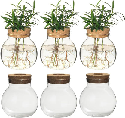 Plant Propagation Station,Hydroponic Terrarium Vase,Desktop Glass Planter Station,for Houses,Garden Decorations,ropagating Hydroponic Plants,Centerpiece Office,Home Garden Decor (6)
