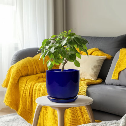 8 Inch Ceramic Plant Pot - Decorative Round Planter for Indoor Plants with Drainage Hole and Saucer, Home House Room Office Garden Decor, Blue