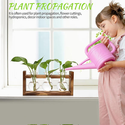 Plant Propagation Station Plant Terrarium Unique Birthday Gifts for Women Plant Lovers Home Office Decor Planter with Wooden Stand - 3 Bulb Glass Vase