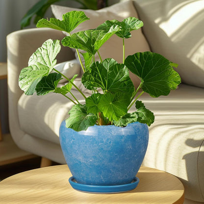 Ceramic Planter - 8 Inch Plant Pot with Drainage Hole and Saucer, Glaze Round Flower Pot for Home Garden Patio Office, Blue