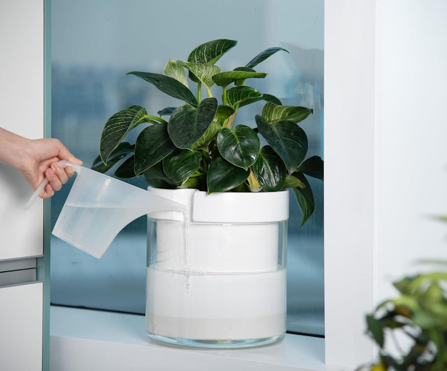Phoenix Vine 10 Inch Self Watering Planter, White Terracotta Clay Pot with Glass Reservoir for Indoor Plants, Herbs, Flowers, Set of 1, 52-B-I-1