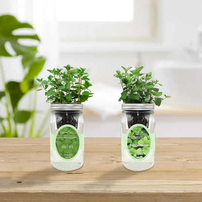 2-Pack Hydroponic Mason Jar Herb Garden Kit, Indoor Herb Garden Self-Watering Starter Kit (Mint,Peppermint)
