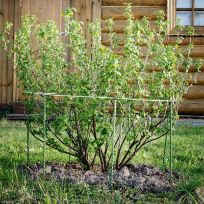 Fiberglass Eco Friendly Garden Stakes (Choose Height/Quantity) – Durable, Lightweight, Tomato, Tree, Strawberry, Plant, Support Fencing Stakes with Patterned Surface 5/16" Diameter (20, 4)