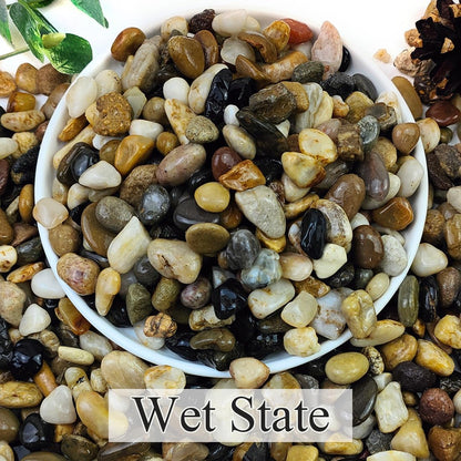 20lbs Natural River Rocks for Plants, 3/8" Aquarium Gravel Decorative Polished Mixed Pebbles for Fish Tank, Gardening, Flower Pots, Vase Fillers, Indoor Water Fountains, Landscaping