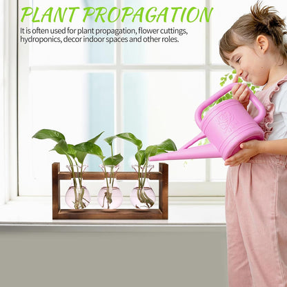 Plant Propagation Station Plant Terrarium Unique Birthday Gifts for Women Plant Lovers Home Office Decor Planter with Wooden Stand - 3 Bulb Glass Vase