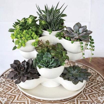 The HC Companies 8 Inch Round Stacking Decorative Indoor Pixie Succulent Flower Planter Pot with 3 Planting Levels, Artisan Taupe