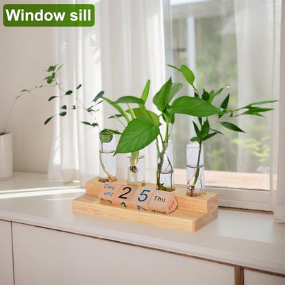 Propagation Vases for Plants, with Block Calendar for Desk, for Home and Desk Decor, Perfect Gardening Gifts for Women, Mom, Teacher, Horticulturist(Light Wood Color)