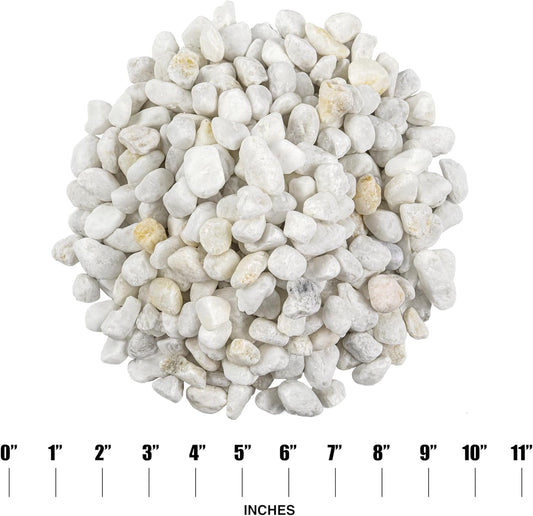 MSI Decorative Tumbled White Pebbles, 0.25 inch - 0.75 inch, 40 lb. Bag (55 Bags/Pallet)