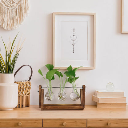 YIBOT Propagation Stations,Plant Terrarium with Retro Wooden Stand, Unique Gardening Birthday Gifts for Women Plant Lovers, Hydroponics Plants Home Office Garden Decor - 3 Bulb Glass Vases