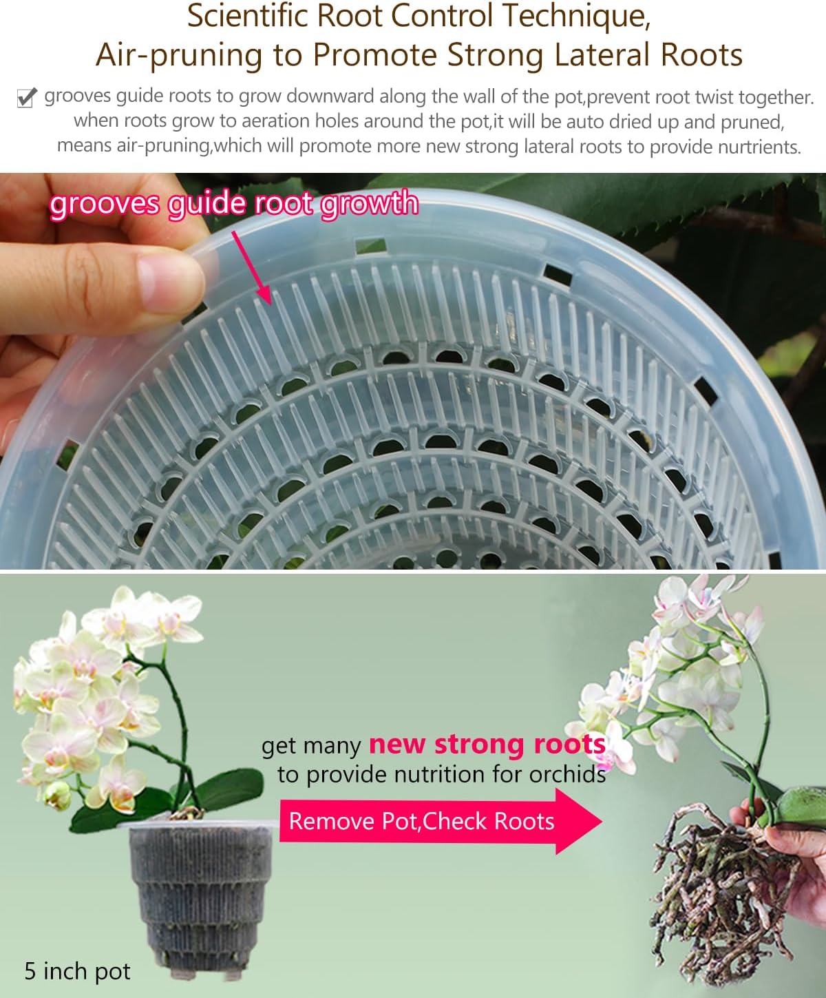 6 inch Orchid Pots with Holes for Repotting with Excellent Airflow, Set of 1, Double Layer Plastic Imitate Ceramic Orchid Planter, Clear Orchid Pot Match Decorative Orchid Container