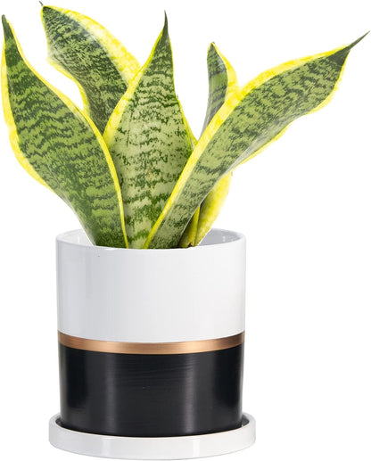 Ekirlin 4 inch Plant Pot - Ceramic Flower Planters Indoor - Modern Succulents Containers with Drain Hole Saucer, Decorate Home, Office & Outdoor (Black)