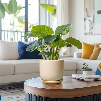 Ceramic Plant Pot - 7 Inch Mid Century Round Ceramic Planter for Indoor Plants with Drainage Hole and Saucer, Modern Home Decor, Yellow