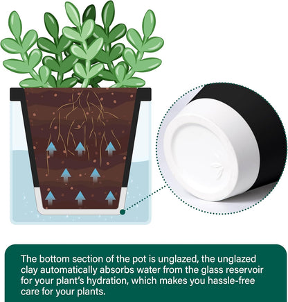 D'vine Dev 4 Inch Design Self Watering Planter for Indoor Plants, Black Terracotta Pot with Cylinder Glass Cup, 37-X-A-3