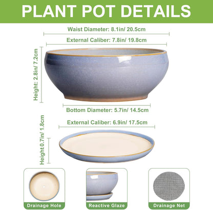 SQOWL Succulent Planters - 8 Inch Ceramic Bonsai Pots with Drainage Hole and Plant Saucer, Shallow Round Planter for Indoor Plants Flower, Bowl Planter Outdoor, Office Decor, House Warming Gift, Blue