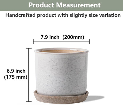 8 Inch Plant Pot: Ceramic Planter with Drainage Hole & Saucer - Cylinder Round Flowerpot for Indoor & Outdoor Plants - with Separate Tray for Home & Office - Retro Style, Grey