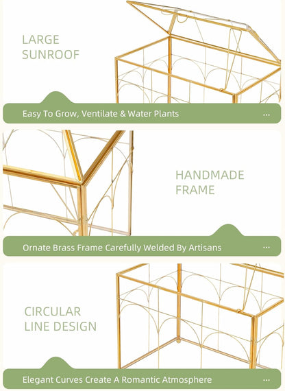 Handmade Glass Planter Terrarium with Lid, Indoor Tabletop Centerpiece Display Box Modern Decor DIY Gift Plant Terrarium Container for Succulent Cacti Air Plants Flower (Gold)