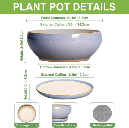 SQOWL Bonsai Tree Pots Small - 6 Inch Ceramic Succulent Planters with Drainage Hole and Saucer, Shallow Pot for Indoor Outdoor, Round Cactus Planters, Living Room Decor, Gifts for Plant Lover, Blue