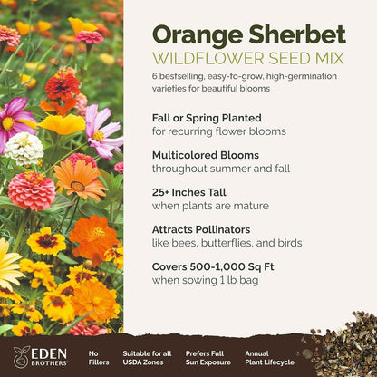 Eden Brothers Orange Sherbet Flower Mixed Seeds for Planting, 1 lb, 480,000+ Seeds with Cosmos Picotee, Bright Lights | Attracts Pollinators, Plant in Spring or Fall, Zones 3, 4, 5, 6, 7, 8, 9, 10