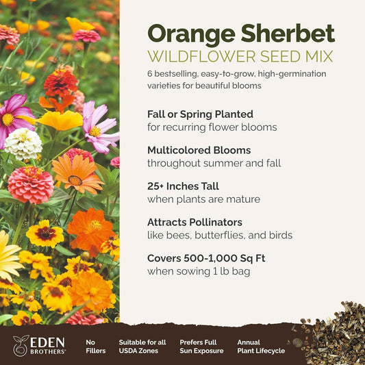 Eden Brothers Orange Sherbet Flower Mixed Seeds for Planting, 1 lb, 480,000+ Seeds with Cosmos Picotee, Bright Lights | Attracts Pollinators, Plant in Spring or Fall, Zones 3, 4, 5, 6, 7, 8, 9, 10