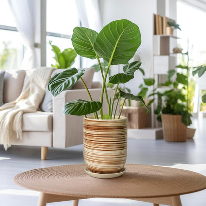 8 Inch Plant Pot, Ceramic Planter for Outdoor Plants, Large Plant Pot Indoor with Drainage Hole and Saucer, Modern Flower Pot for Home Garden Decor Yellow