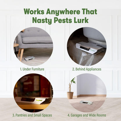 BugMD Indoor Cockroach Killer & Roach Trap - Sticky Insect, Spider, Cricket Control for Home - Glue Traps Pest Defense, 12 Pack Sticky Bug Solution