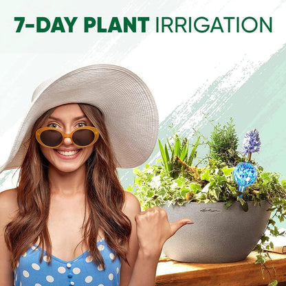 Plant Watering Globes Set of 6 – Large Glass Bulbs (up to 7 Days of Watering) for Indoor & Outdoor Plants – Multicolor - Self-Watering