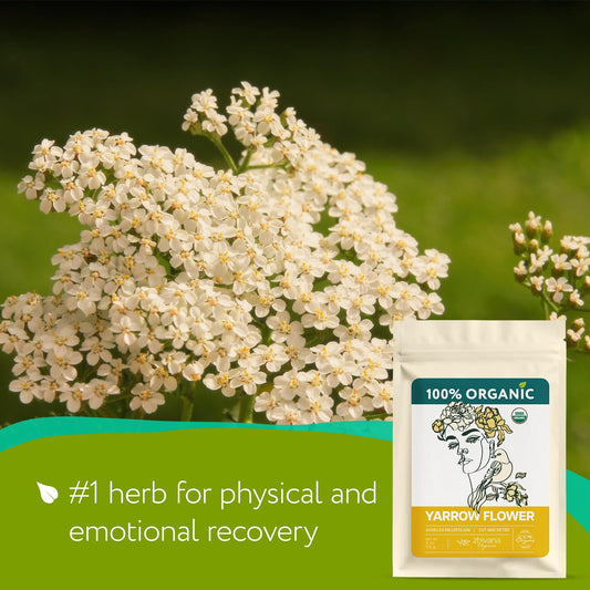 Super Value Pack 5 LB - Yarrow Flower Tea Organic - Dried Yarrow Herb Loose Leaf - Herbal Tea to Support Healthy Immune Function & Relaxation